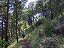 photo thumbnail #2