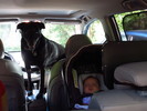 photo thumbnail #1