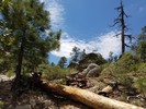 photo thumbnail #8