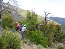 photo thumbnail #5