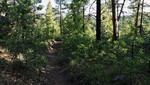 photo thumbnail #1