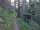 photo thumbnail #3