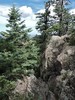 photo thumbnail #7