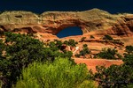 photo thumbnail #4
