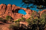 photo thumbnail #7