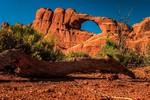 photo thumbnail #8