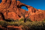 photo thumbnail #9