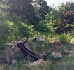 photo thumbnail #11