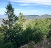 photo thumbnail #15