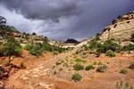 photo thumbnail #9
