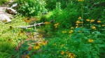 photo thumbnail #2