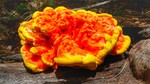photo thumbnail #3