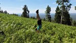 photo thumbnail #2