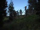 photo thumbnail #7
