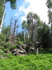 photo thumbnail #9
