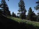 photo thumbnail #10