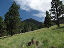 photo thumbnail #12