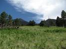 photo thumbnail #14