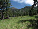 photo thumbnail #15