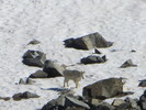 photo thumbnail #2