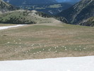 photo thumbnail #15