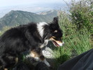 photo thumbnail #1