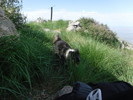 photo thumbnail #2