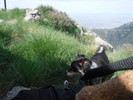 photo thumbnail #4