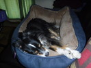 photo thumbnail #6