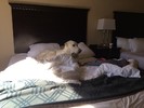 photo thumbnail #1
