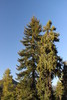 photo thumbnail #13