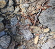 photo thumbnail #14