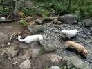 photo thumbnail #2