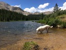 photo thumbnail #8