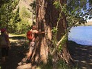 photo thumbnail #9