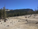 photo thumbnail #2