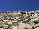 photo thumbnail #10