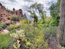 photo thumbnail #4