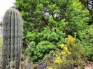 photo thumbnail #14
