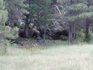 photo thumbnail #11