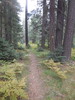 photo thumbnail #12