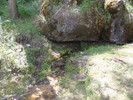 photo thumbnail #7