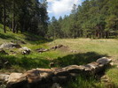 photo thumbnail #9