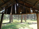 photo thumbnail #10