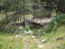 photo thumbnail #12