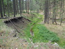 photo thumbnail #13