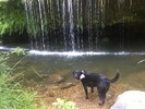 photo thumbnail #12