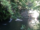 photo thumbnail #13