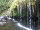 photo thumbnail #14