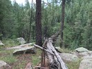 photo thumbnail #14